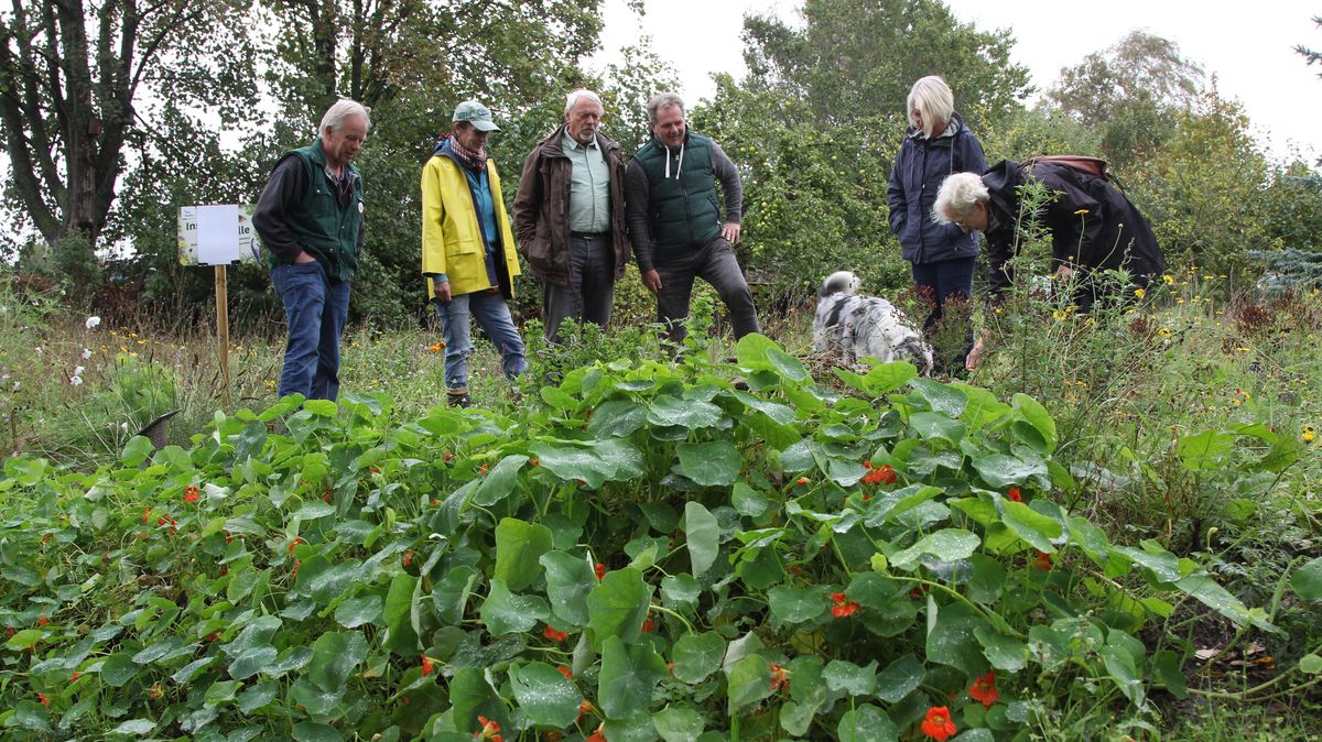 Im Lehrgarten zum naturnahen Gärtnern blüht es noch kräftig. Foto: Reese-Winne