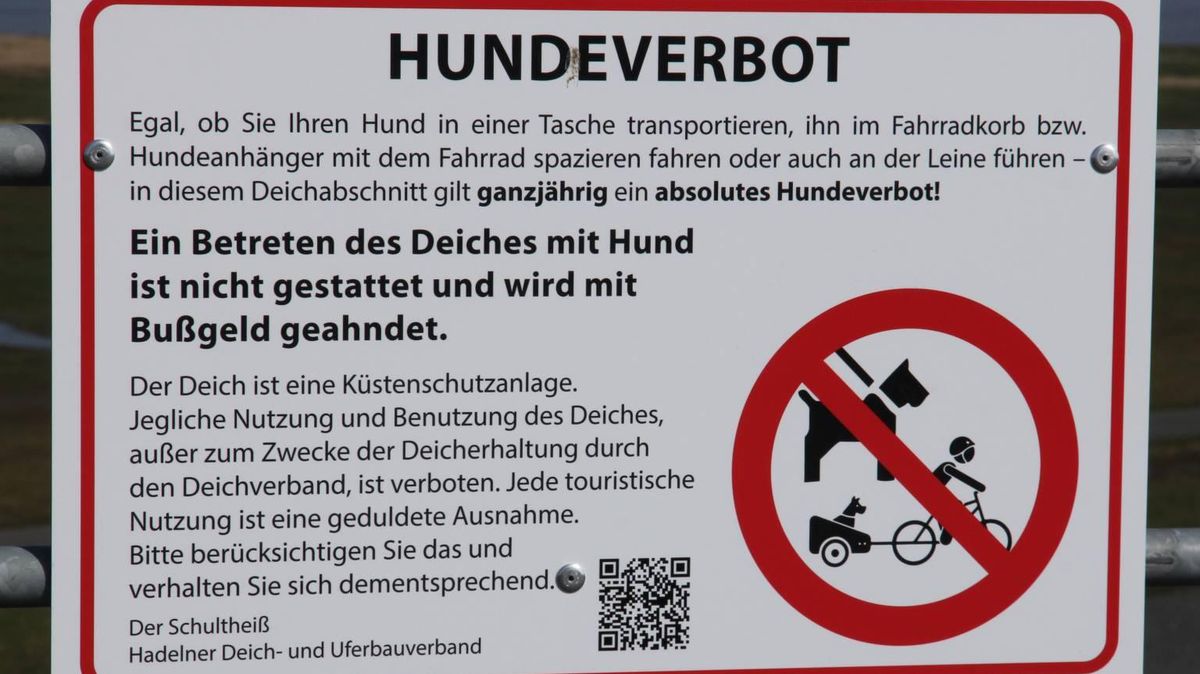Hundeverbot: Diese Schilder hängen seit kurzer Zeit am Deich zwischen Altenbruch und Otterndorf. Foto: Sassen