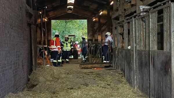 Vier Kühe fallen in Hemmoor in Güllekeller: Feuerwehr mit Hoflader im Einsatz