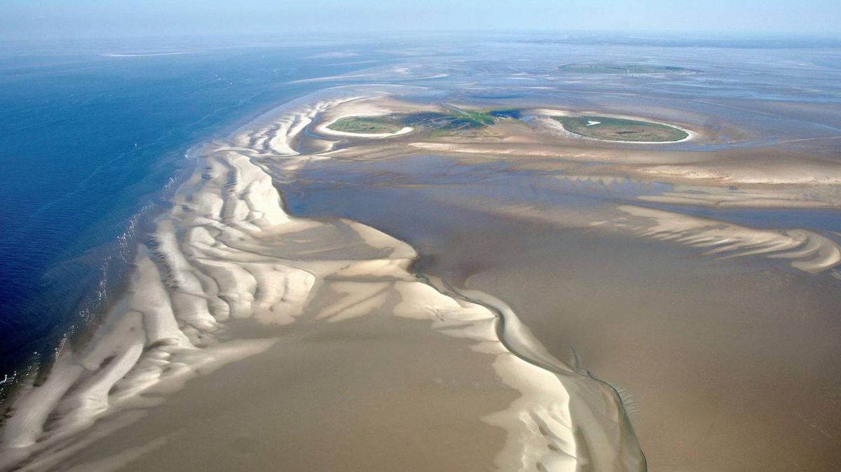Das Weltnaturerbe Wattenmeer mit den beiden Vogelinseln Scharhörn und Nigehörn. Während Hamburg weiter an seinem Plan festhält, in der Nähe der Insel Hafenschlick zu deponieren, denkt der Bund darüber nach, den Aufwuchs des Cuxhavener Watts durch Saugbagger zu unterbrechen. Foto: Schlüsselburg