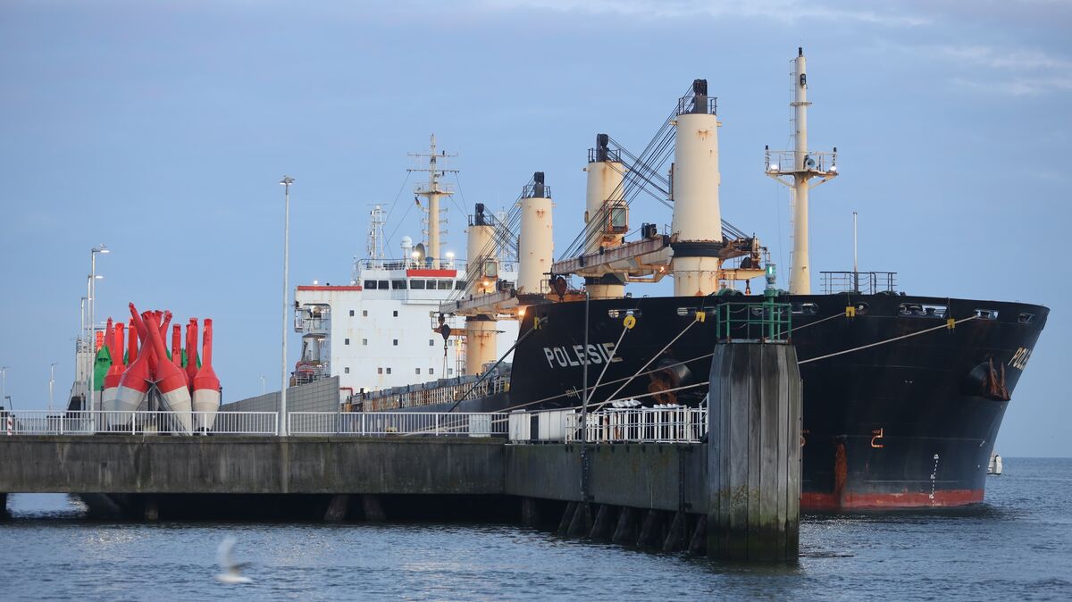 Der Frachter "Polesie" liegt derzeit im Hafen von Cuxhaven. Foto: Fischer