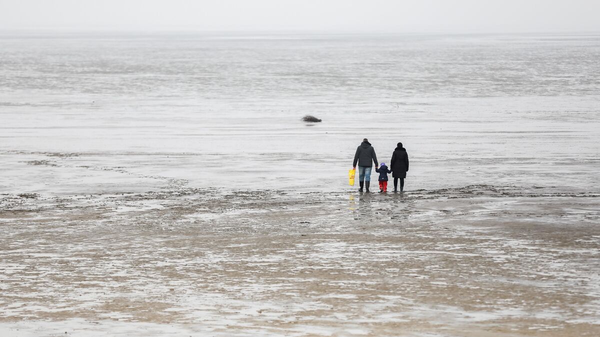 Gummistiefel an und raus: Ein Spaziergang durch das Watt ist auch im Herbst eine gute Idee. Foto: Mohssen Assanimoghaddam/dpa