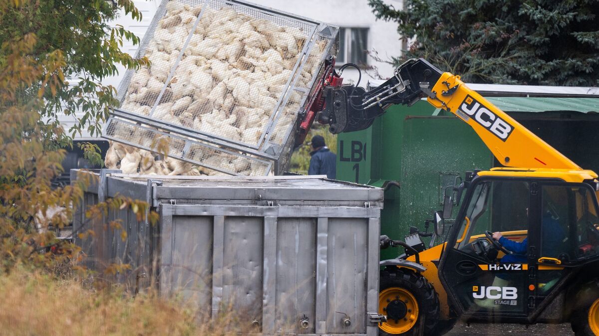 Christophe Gateau/dpa