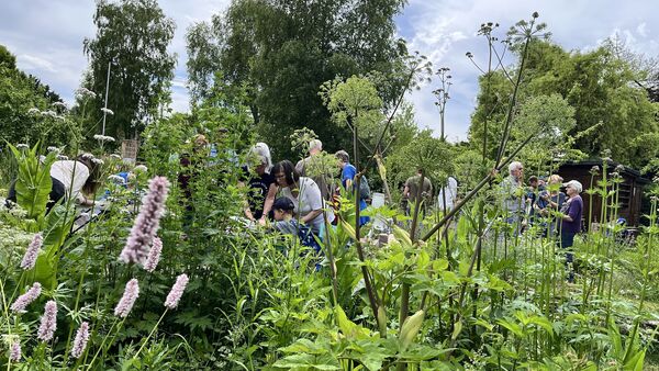 So schön sieht Artenschutz aus: Ehrentag im Naturgarten des Naturschutzbunds Cuxhaven