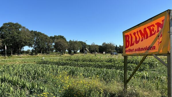 Baupläne für Sahlenburger Wohngebiet stocken - Archäologen untersuchen Tonscherben