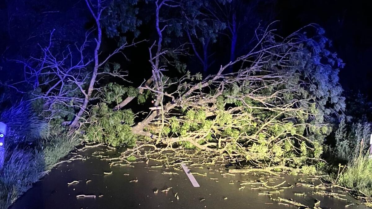 Im Gewitterschauer mit starkem Regen und stürmischen Böen kippt ein Baum um und versperrt die gesamte Fahrbahn. Foto: Feuerwehr