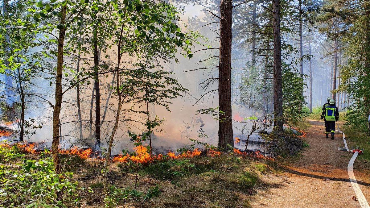 Die Einsatzkräfte setzten bei dem Brand im Wernerwald etwa 20.000 Liter Wasser ein. Foto: Berufsfeuerwehr