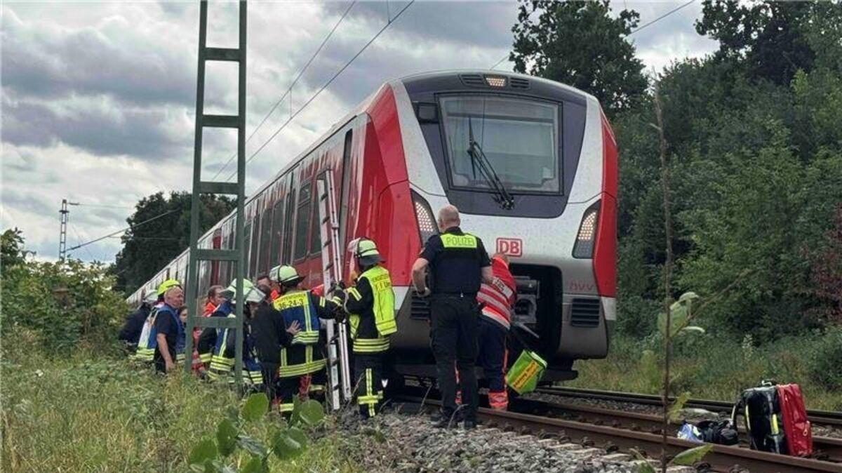 Kurz vor dem Bahnhof Dollern kam es am Mittwochmittag zu einem tödlichen Unfall. Feuerwehr und Polizei waren im Einsatz. Foto: Hellwig