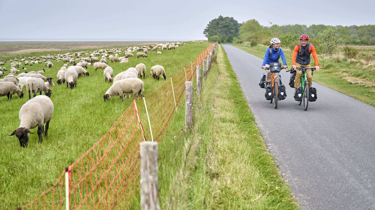 Der Nordseeküsten-Radweg führt die Radfahrer auch von Duhnen nach Sahlenburg. Foto: Trykowski