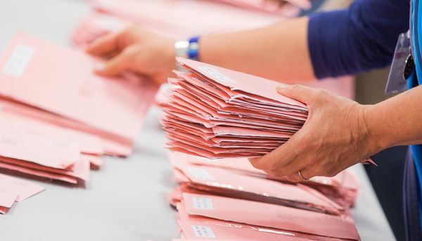 Grüne: Gute Wahlergebnisse fürs Cuxland