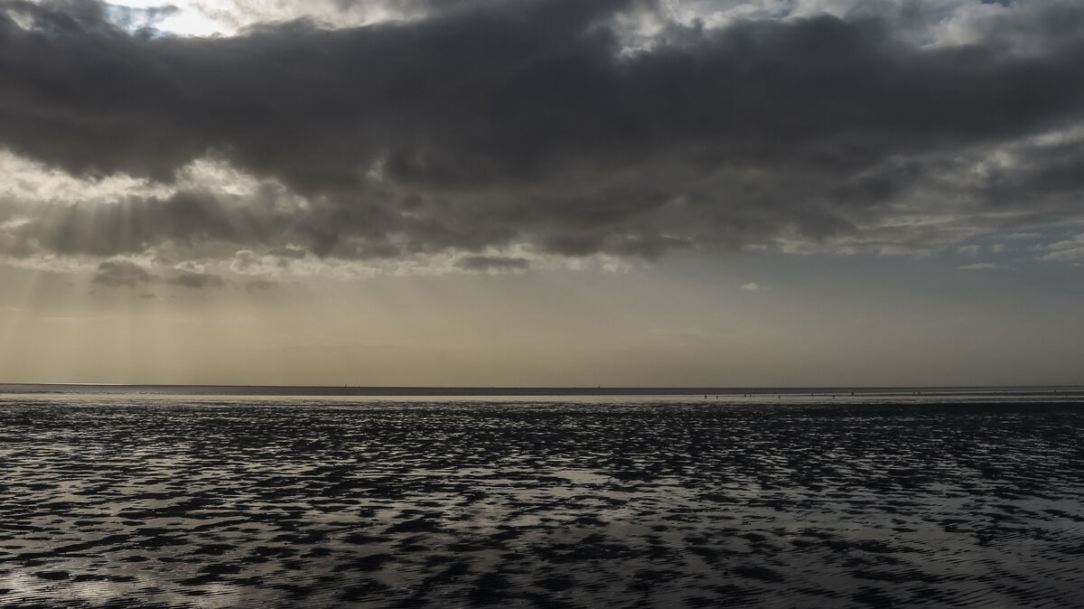 Ein furchtbarer Fund ist auf einer Sandbank in der Außenweser vor Cuxhaven gemacht worden. Symbolbild: dpa