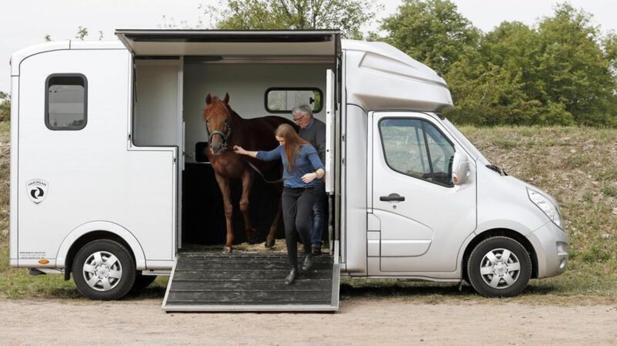 Grundsätzlich ist die Fahrt auf einem Pferdetransporter für viele Pferde oft angenehmer als im Pferdeanhänger - daher sind viele Reiter gerade erst auf „Stable Hopper“ umgestiegen. Foto: imago images