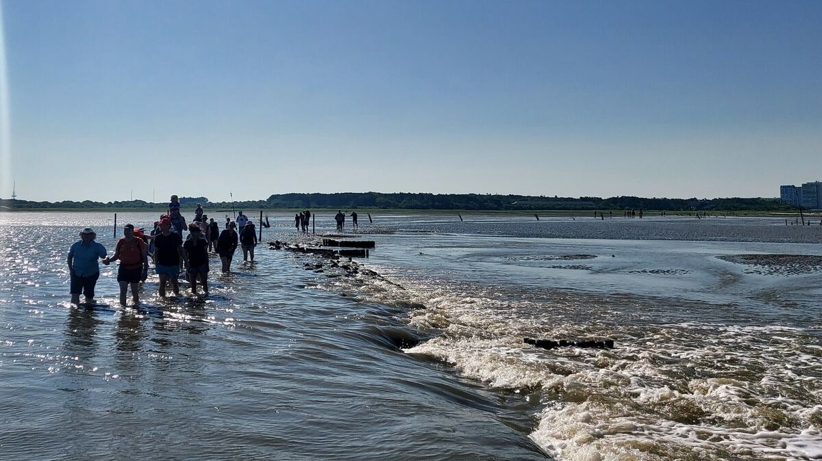 Wattwandern ist bei Cuxhavenern und Touristen beliebt. Doch viele unterschätzen die Gefahr, die auch an so schönen Tagen im Watt lauert. Foto: Fischer