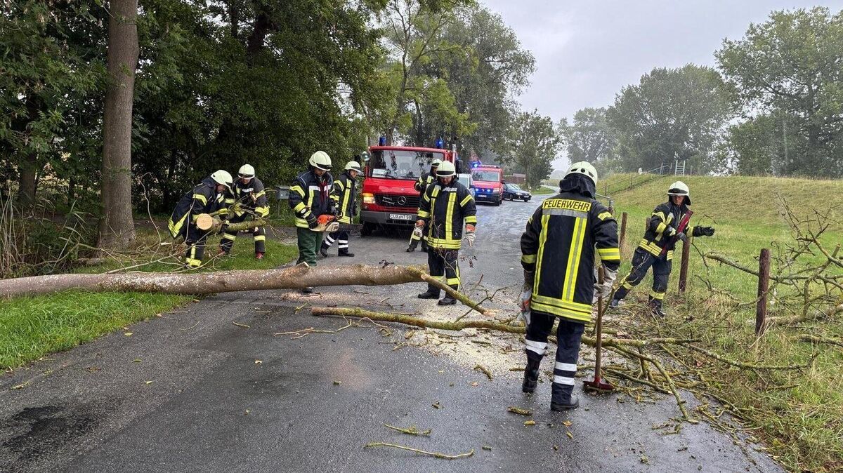 Durch vermutlichen starken Regen und leichten Wind
nach einem Gewitter war ein größerer Baum umgekippt. Mit einer Motorsäge
wurde der Baum zerkleinert und mit Manpower an die Seite gelegt. Foto: Jürgen Lange
