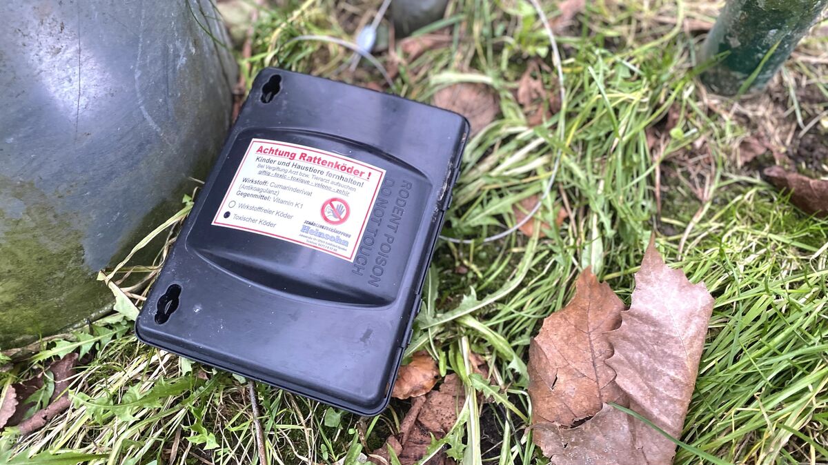 Die Rattenköder am Wegesrand versetzen Haustierbesitzer und Eltern in Sorge. Foto: Kramer