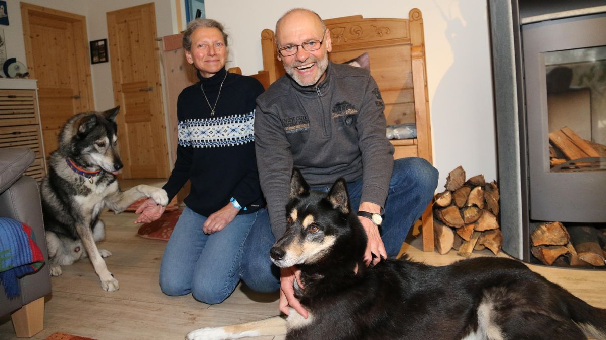 Der 12-jährige Tuuli (l.) ist der Kraftvolle, Tapi dafür der Schnellste. Für Brigitte und Klaus Holtmann sind sie im Alltag die liebsten Haushunde. Foto: Monsees