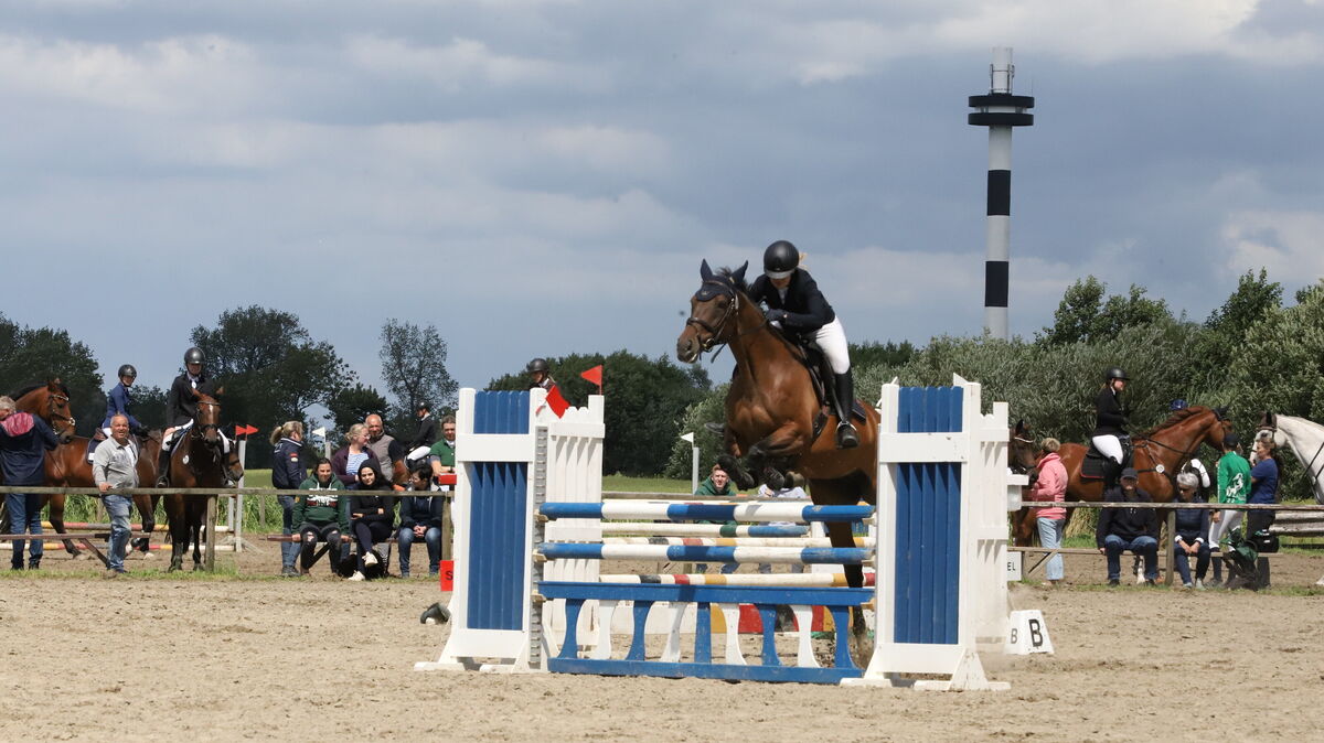 Sprung in den Sommer: Beim traditionellen Reitturnier des Hadler Reitclubs in Altenbruch zeigen Reiter und Pferde ihr Können vor begeistertem Publikum. Foto: Witthohn