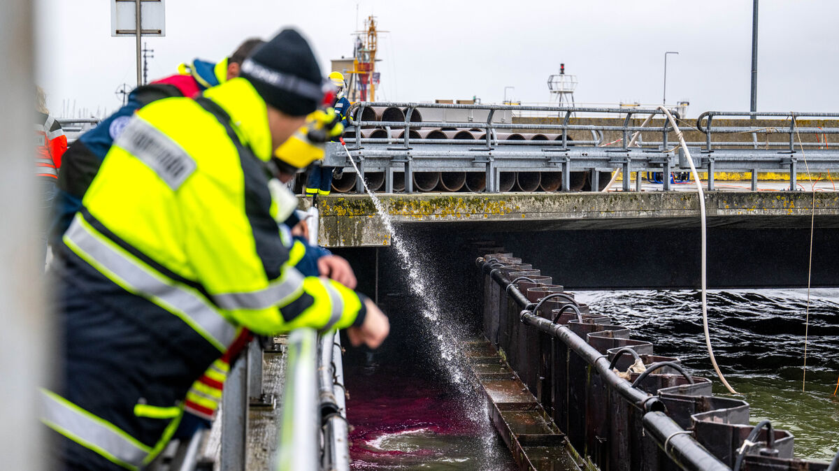 Mit Spezialausrüstung entfernen Einsatzkräfte das ausgelaufene Öl aus dem Cuxhavener Hafen. Nach der Kollision zweier Schiffe gelangte der Treibstoff ins Wasser. Foto: dpa/Sina Schuldt