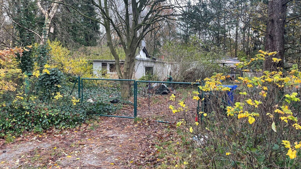 In den Lebensentwürfen zweier Frauen spielt diese Immobilie am Sahlenburger Forstweg eine zentrale Rolle. Das Problem: Die eine ist nur Mieterin, die andere hat das Häuschen, das auf einem Grundstück am Rande des Naturschutzgebietes steht, gekauft. Foto: Koppe