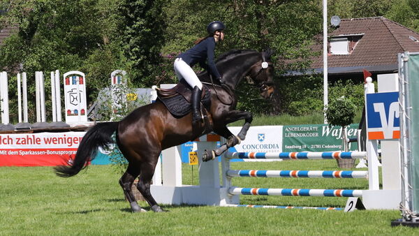 "Die Jugend rockt den Dobrock 3.0" - Pferdesport vom Feinsten in Wingst