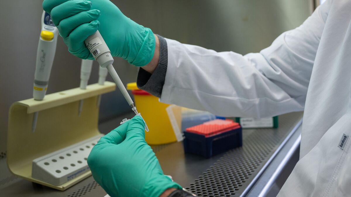 Für PCR-Test gelten jetzt neue Regeln. Symbolfoto: Sebastian Gollnow/dpa