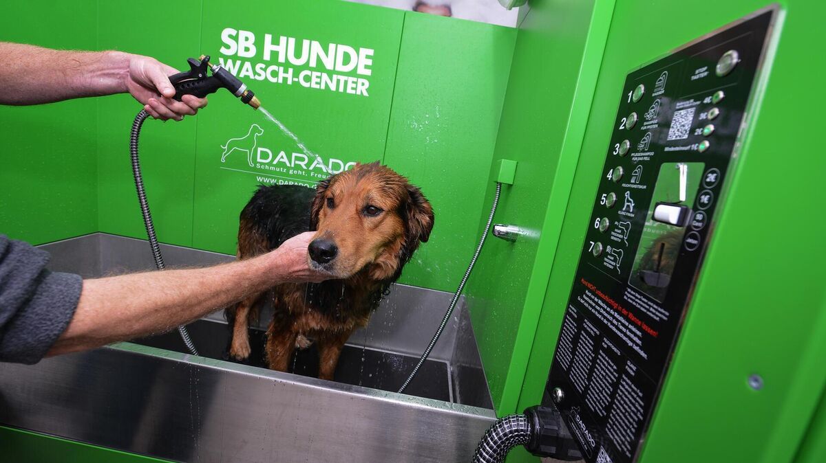 Es gibt sie für draußen und drinnen: SB Hunde Wasch-Center. Ein ähnliches Gerät für den Outdoor-Gebrauch steht seit vergangenem Jahr in Dangast. Foto: David Ebner