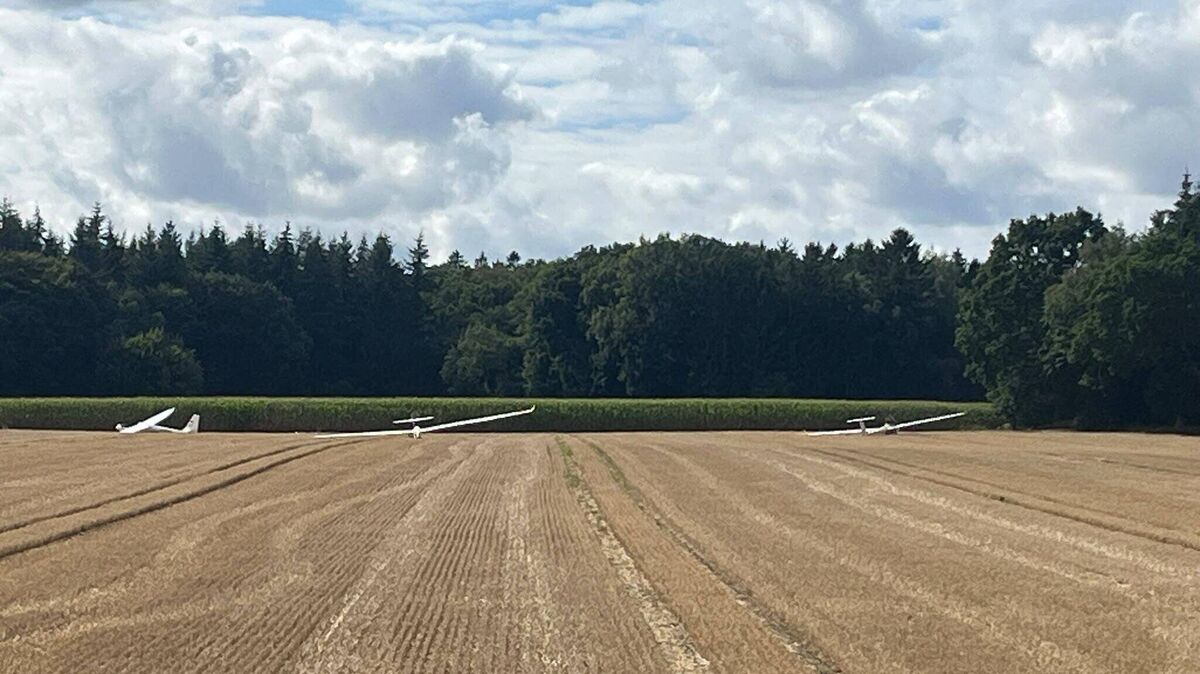Ein seltenes Bild in Wingst-Weißenmoor: Gleich drei Segelflugzeuge mussten auf demselben frisch gemähten Stoppelfeld außenlanden. Foto: Meyer