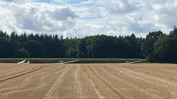 Ungewöhnlicher Anblick in der Wingst: Drei Segelflugzeuge landen auf demselben Acker