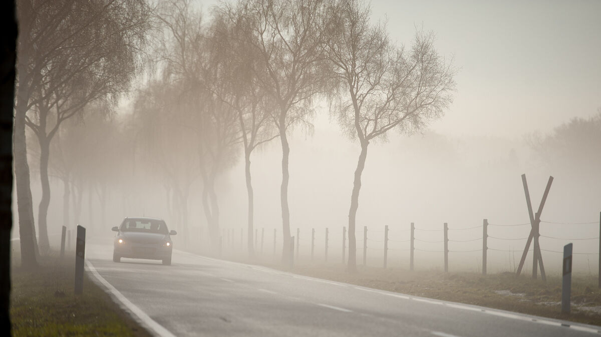 Verschleiert Schnee, Regen oder Nebel die Sicht, muss das Abblendlicht eingeschaltet sein. Foto: dpa/Philipp Schulze