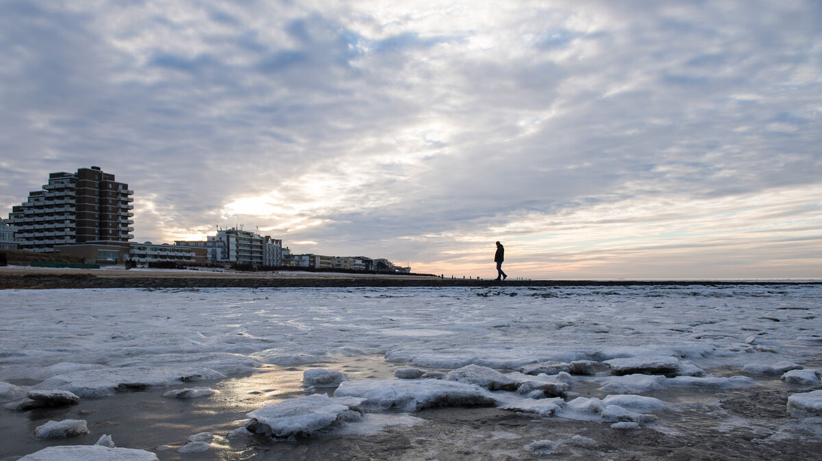 Schnee, Glätte und Frost bestimmen ab Freitag das Wetter an Küste und Elbe – der Winter meldet sich kurz zurück. Foto: Ingo Wagner