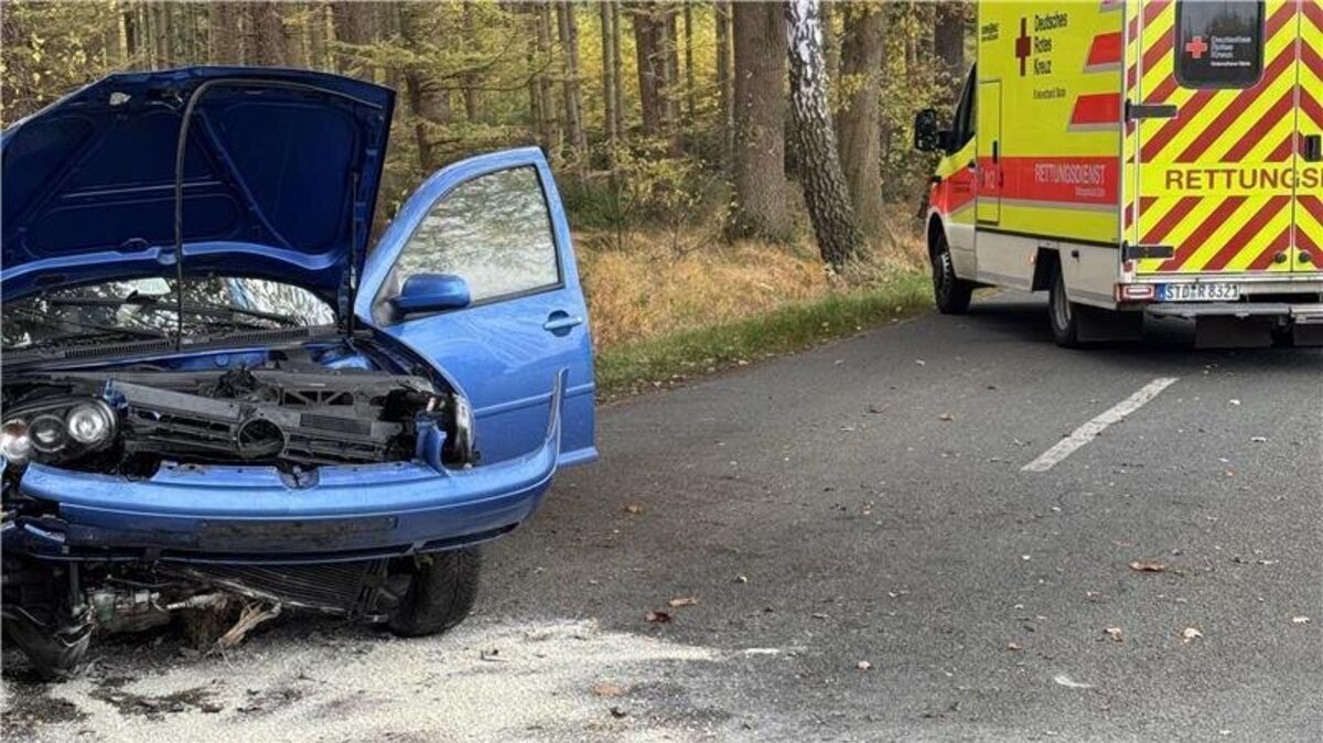 Der VW Golf des 18-jährigen Fahrers prallte gegen einen Straßenbaum. Foto: Klempahn