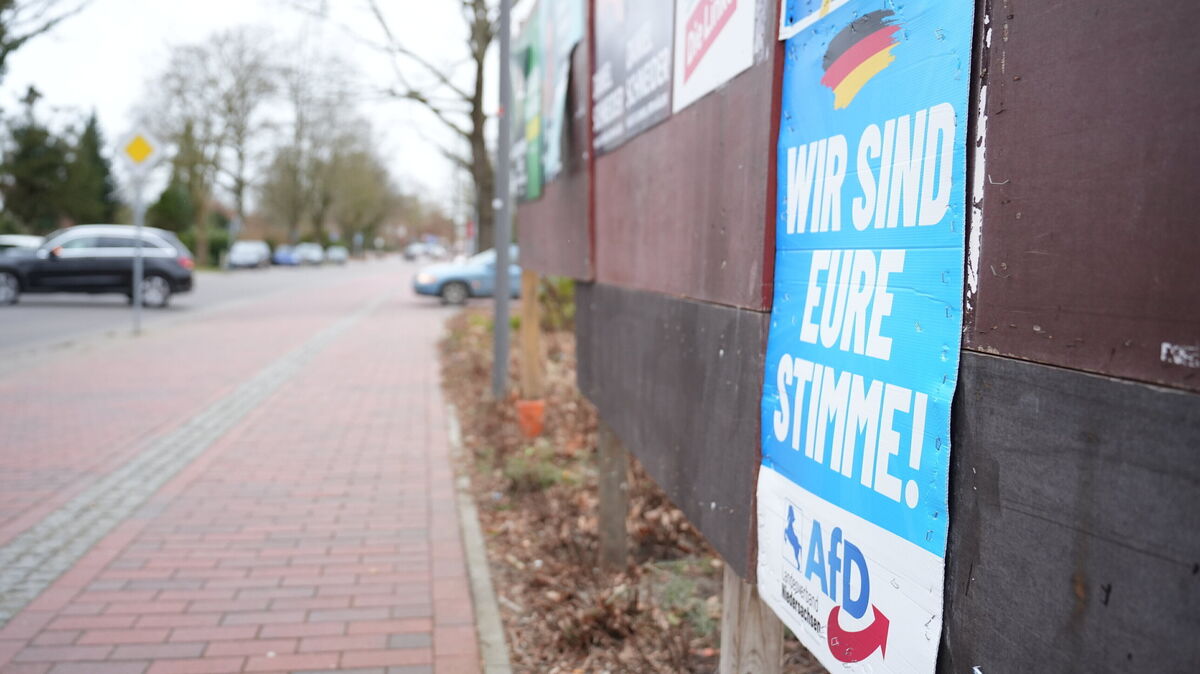 Ein AfD-Wahlplakat in Hemmoor: Die Partei erreichte bei der Bundestagswahl 2025 hohe Zustimmungswerte in der Region. Foto: Keck