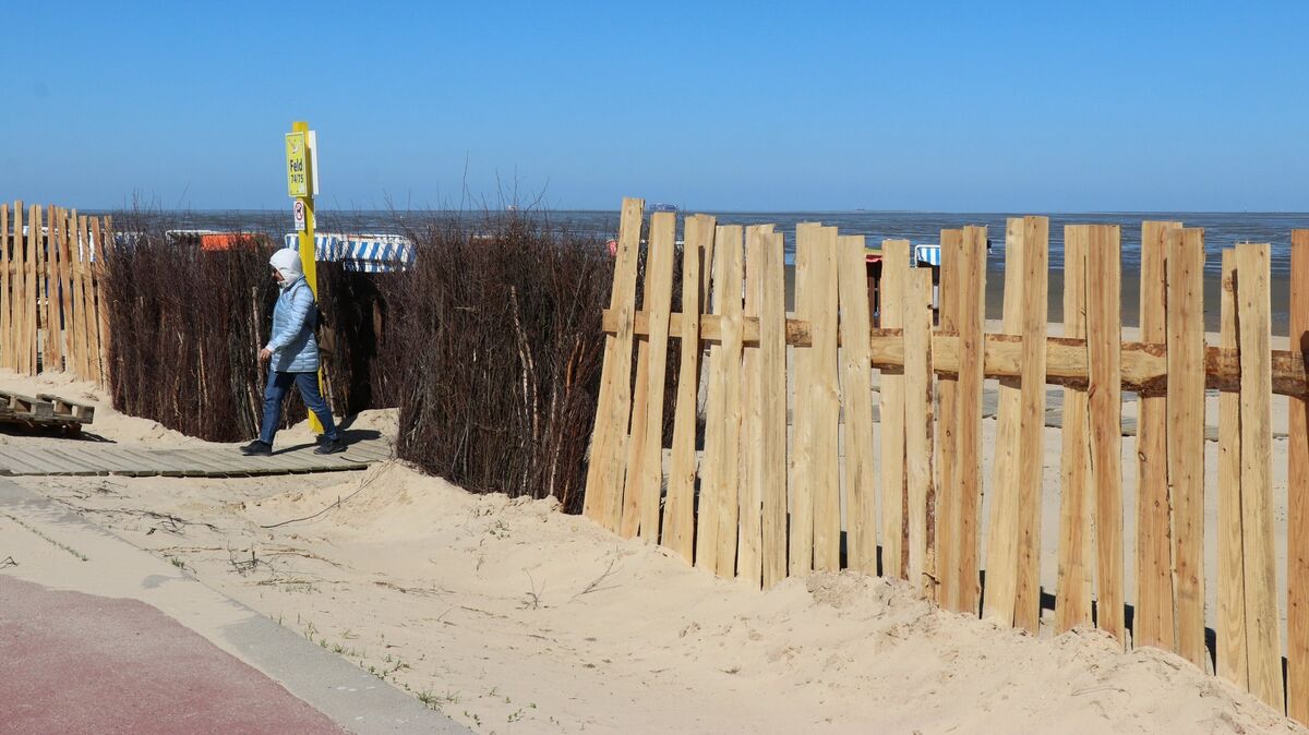 Die Nordseeheilbad Cuxhaven GmbH experimentiert an einem Strandabschnitt in Döse mit Holzzäunen. Die Maßnahme wird kontrovers diskutiert. Foto: Mangels