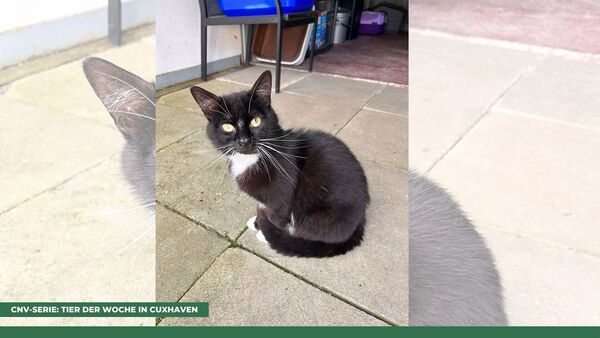 Tier der Woche in Cuxhaven: Charmeur Eric sagt Bescheid, wenn...