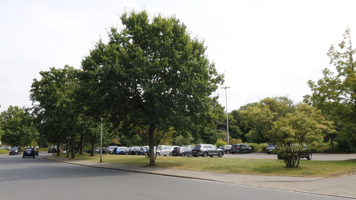 Das Planungsgebiet umfasst über weite Strecken hinweg den heutigen, südlich des Messeplatzes gelegenen Parkplatz. Wird er überbaut, soll es in Zukunft trotzdem Abstellmöglichkeiten für Pkw geben: Der Bau eines öffentlichen Parkhauses ist Teil der Bestrebungen. Foto: Koppe