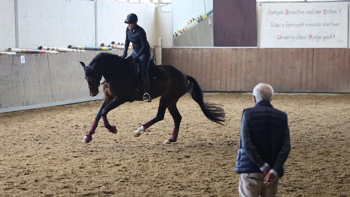 Reitmeister Christoph Hess beobachtet aufmerksam Constanze Weber im Viereck des Hadler Reitclubs, während er seine Philosophie der klassischen Reitlehre und des partnerschaftlichen Umgangs mit Pferden vermittelt. Foto: May