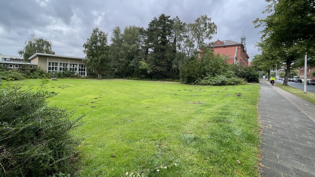 Noch liegt die Wiese vor der kleinen Sporthalle der Abendrothschule unberührt da. Binnen weniger Wochen soll hier - wenn es denn losgeht - ein 670 Quadratmeter großer Modulbau für 60 Hortkinder entstehen. Foto: Reese-Winne