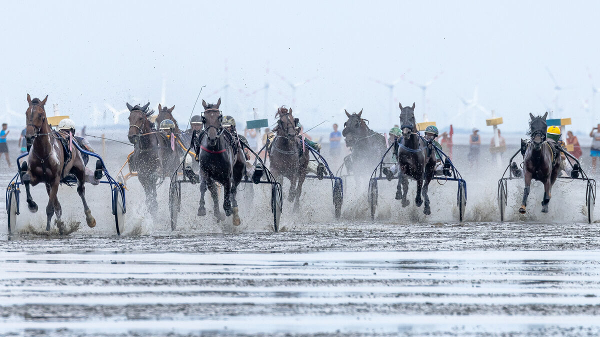 Während sich hier die Traber auf der Zielgeraden befinden, ist der Duhner Wattrennverein mit dem "Aufgalopp" ins Jahr 2024 gestartet. Archivfoto: Adelmann