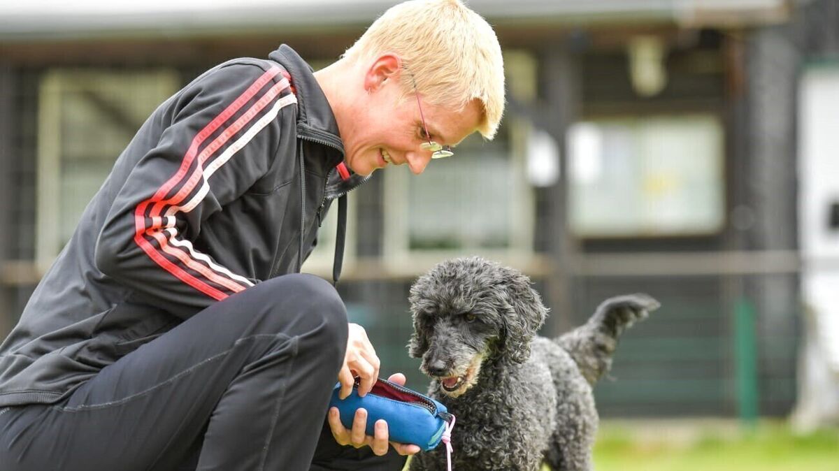Ina Niemann ist seit über zehn Jahren Hundetrainerin und arbeitet viel mit ängstlichen Tieren. Hier ist sie beim Training mit ihrer 14 Jahre alten Hündin Enny zu sehen. Foto: Ina Niemann