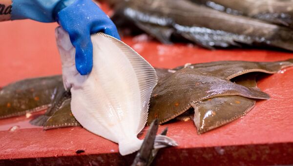 Weniger Seelachs für Cuxhavener Fischer: Preise werden steigen