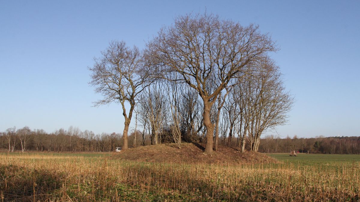 Einer der schönsten erhaltenen Grabhügel in Gudendorf: Alle, die gelegentlich zum Abfallverwertungszentrum (AVZ) fahren, kennen ihn. Foto: Reese-Winne