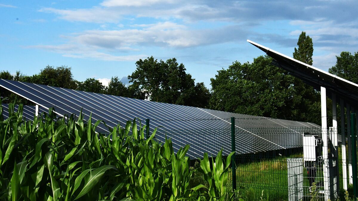 Der erste Solarpark in Hechthausen ist bereits am Netz, der zweite wird auf einer wesentlich größeren Fläche gebaut. Foto: Schröder