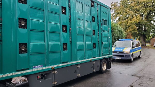Tiertransporte im Kreis Cuxhaven im Visier: 15 Verstöße bei 23 Kontrollen