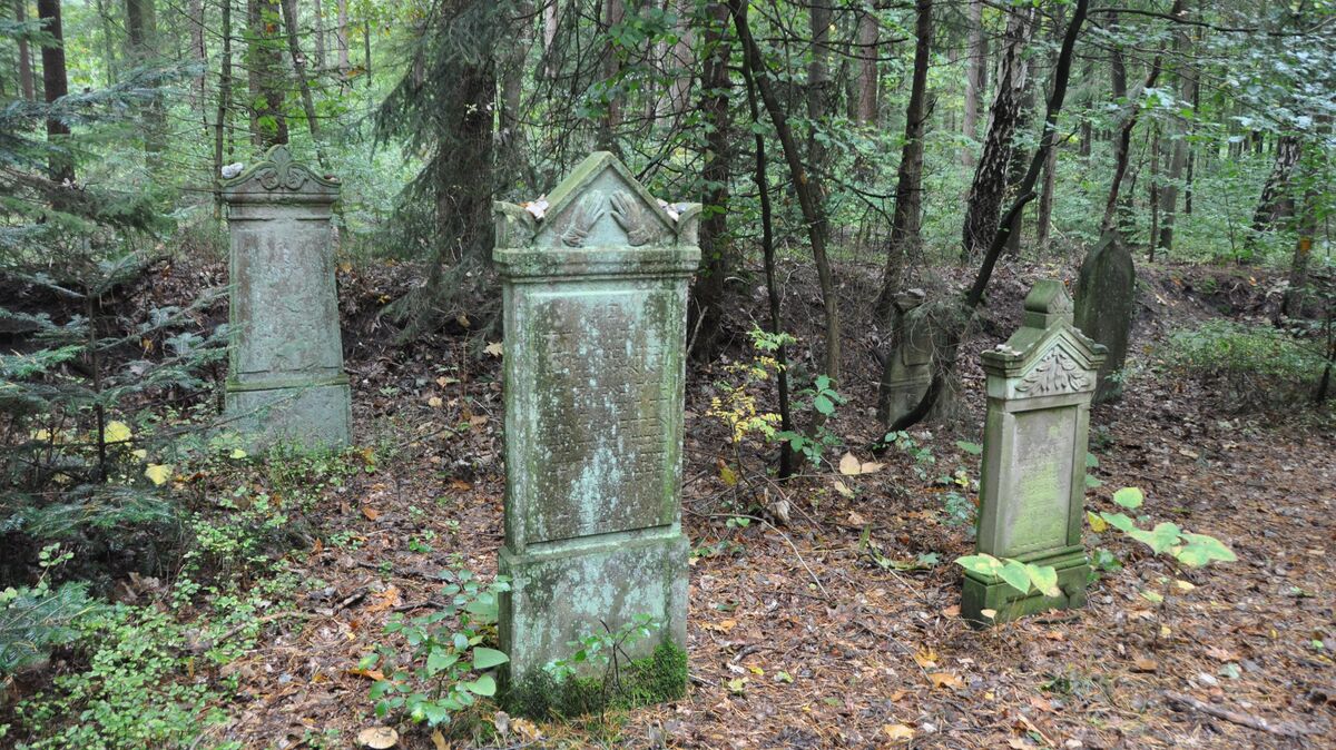 Wie verwunschen liegt der Judenfriedhof versteckt im Wingster Wald. Foto: Kramp