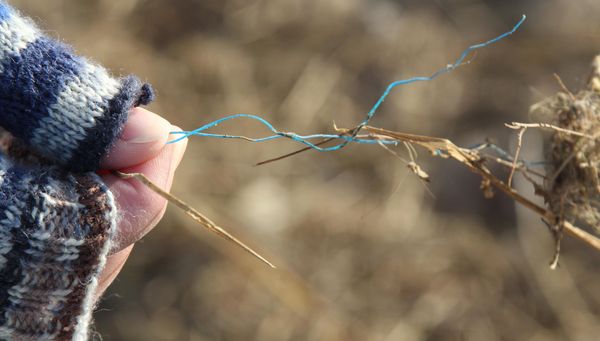 Neue CN-/NEZ-Serie "Tschüss, Plastik!"