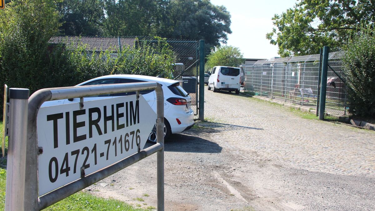 Gegen den Vorstand des Vereins richten sich erhebliche Vorwürfe. Foto: Kramp