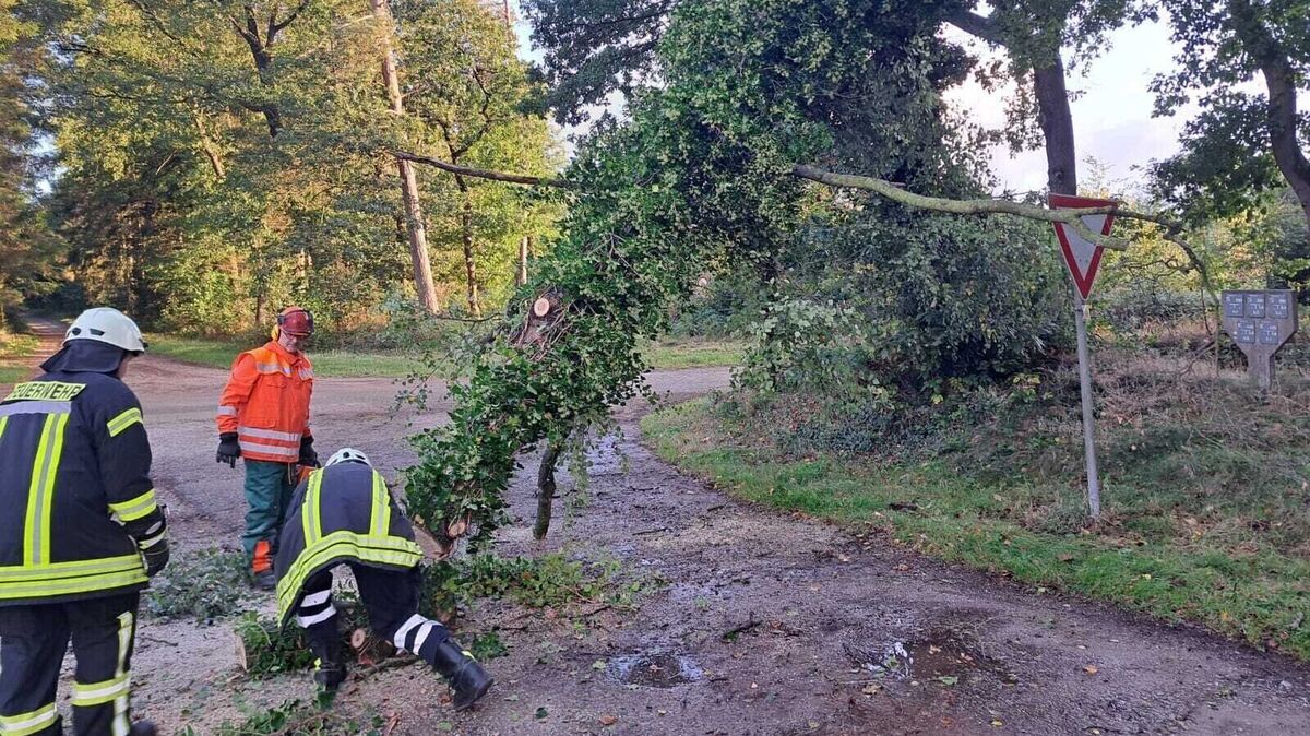 Die Hälfte des Baumes ragte über die Fahrbahn, weshalb beim Entfernen besondere Vorsicht erforderlich war. Foto: Lange