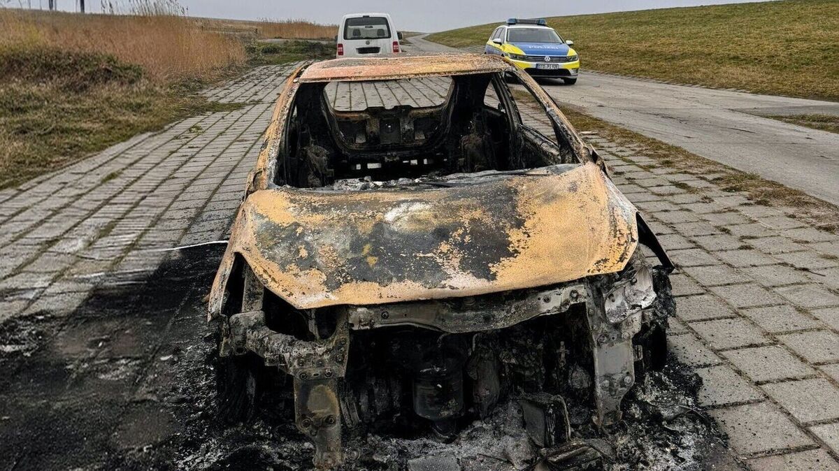 Am Elbdeich in Balje brennt das Auto aus. Der Opel Corsa E wird erst Stunden nach dem Feuer entdeckt. Foto: Polizei