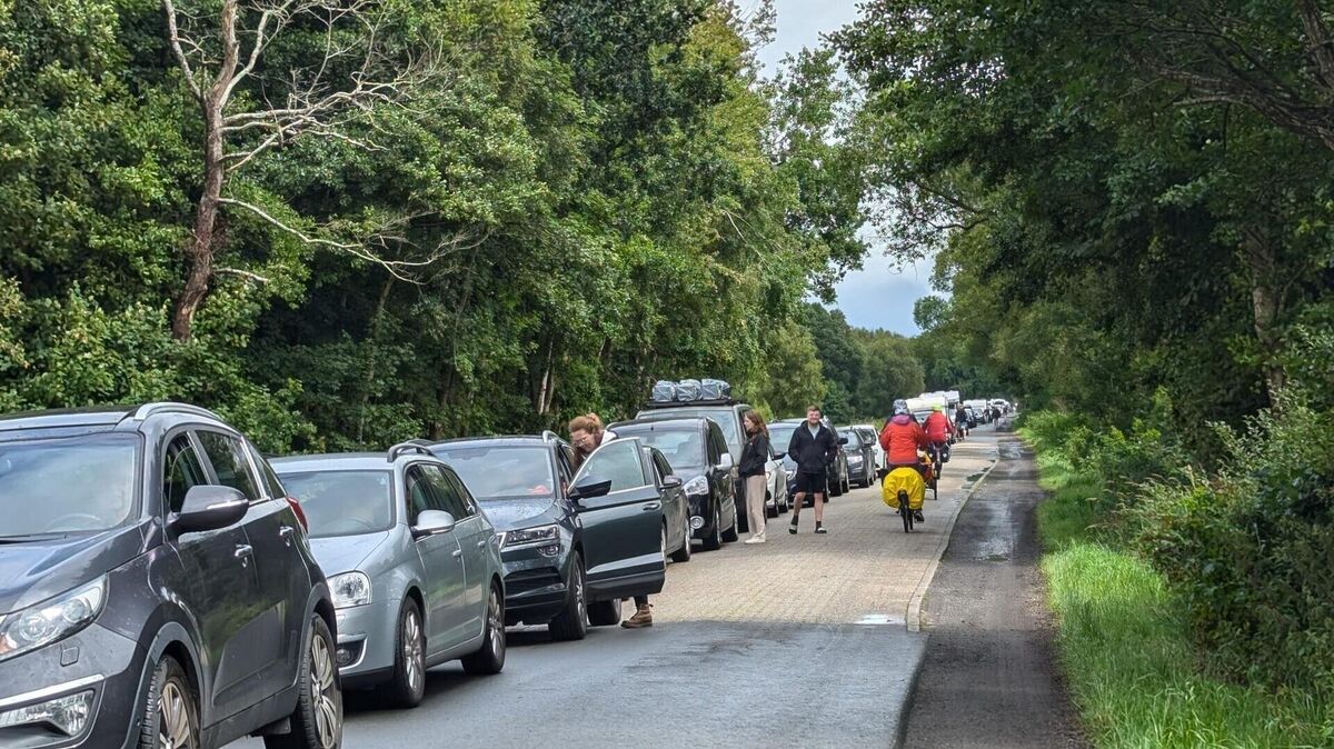 Wer auf die Anweisungen der Polizei und der Festivalcrew achtet, kommt schnell ans Ziel. Hier die Deichbrand-Anreise 2024. Foto: Hanke