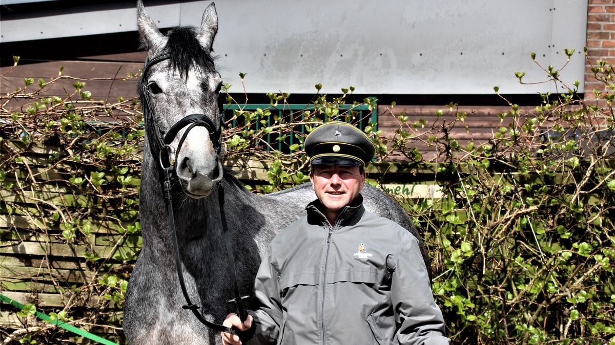 Gestütshauptwärter Ingo Beiser ist seit 28 Jahren Deckstellenleiter in Ihlienworth. Foto: Joppien